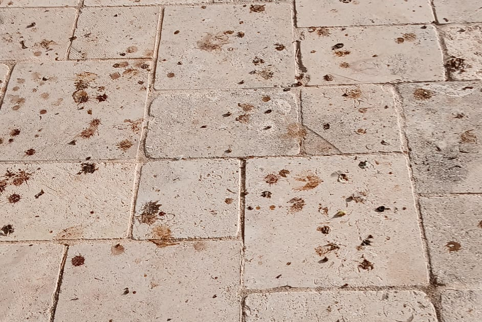 WhatsApp Image 2025-11-03 at 09.59.04